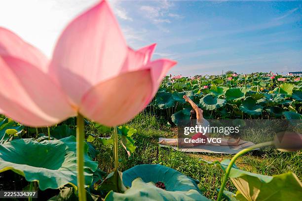 Yoga enthusiast practices yoga among blooming lotus flowers on July 16, 2025 in Ji'an, Jiangxi Province of China.