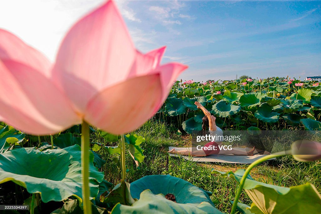 Yoga Enthusiasts Practice Yoga In Lotus Field In Ji'an