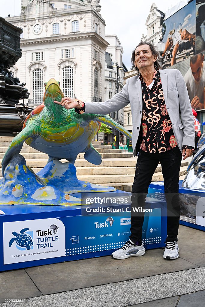 The Tusk Turtle Trail Launch