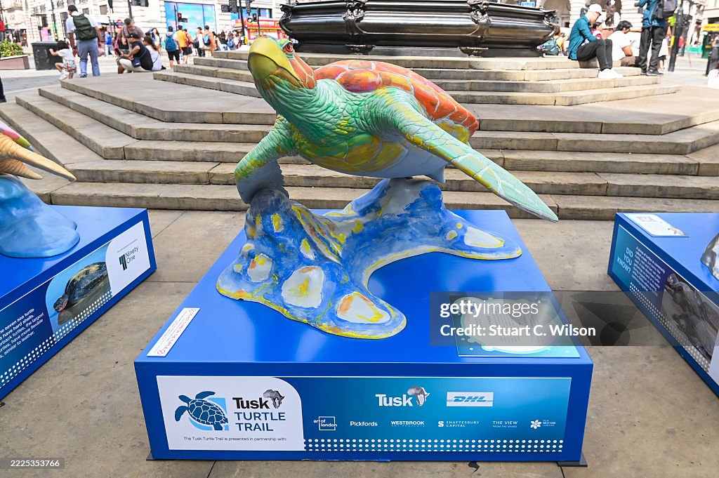The Tusk Turtle Trail Launch