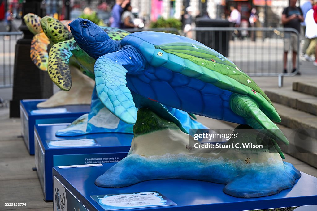 The Tusk Turtle Trail Launch
