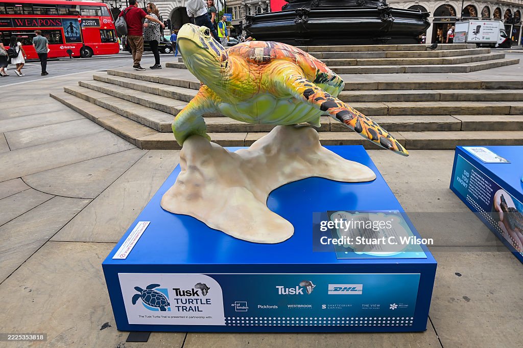 The Tusk Turtle Trail Launch