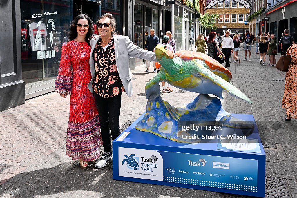 The Tusk Turtle Trail Launch