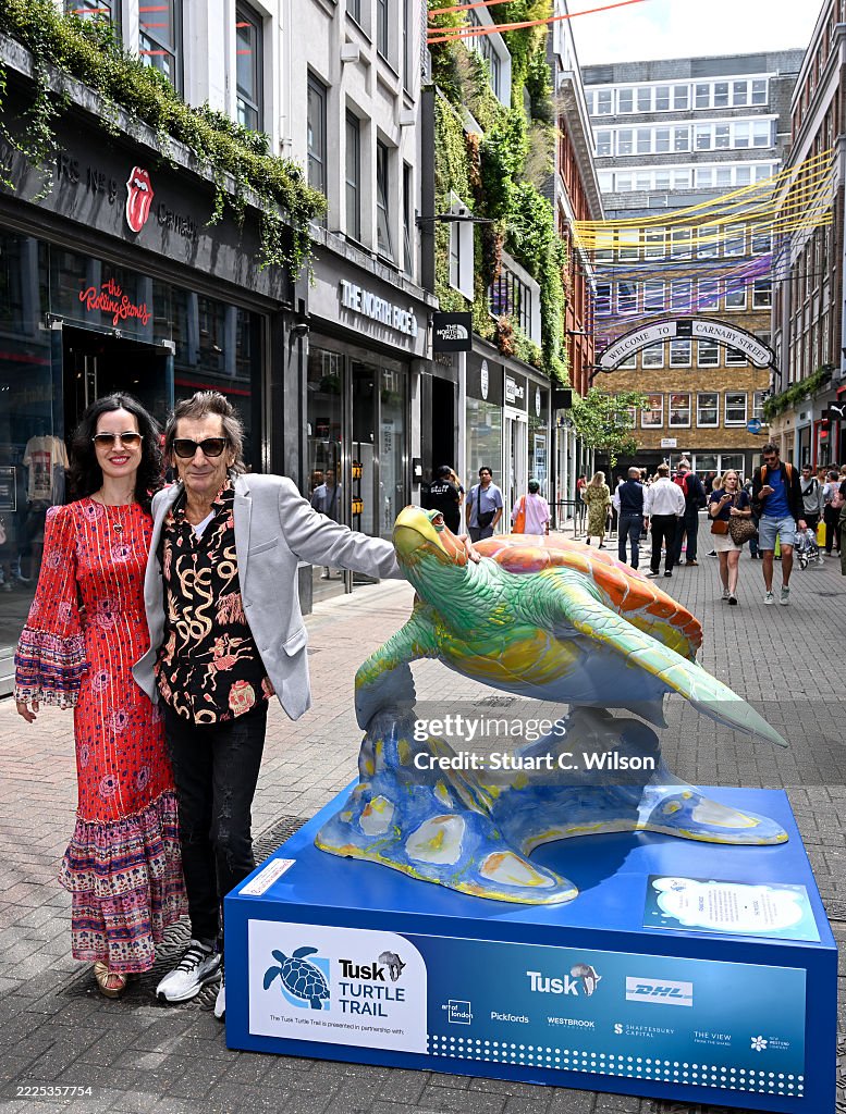 The Tusk Turtle Trail Launch