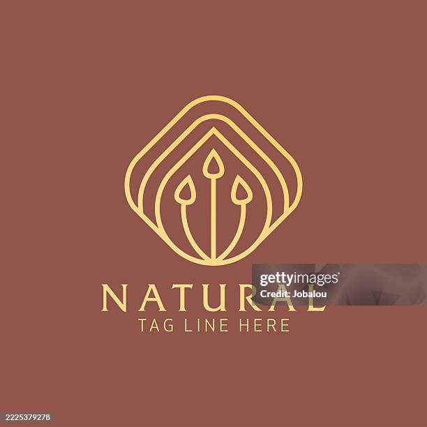 elegant minimal emblem nature brand template - boutique stock illustrations