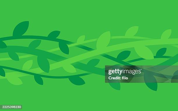 modern overlap vine leaf green lines abstract motion background - vines growing stock illustrations