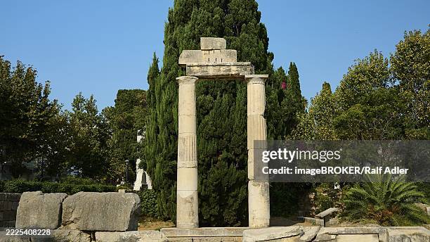 Agora Tree 55 Agora Public Market Stock Photos, High-Res Pictures, and Images ...