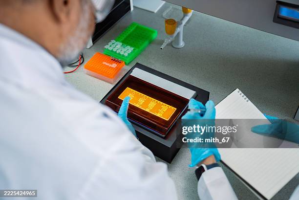lab technicians analyzing gel electrophoresis results in bioscience laboratory - genetic test stock pictures, royalty-free photos & images