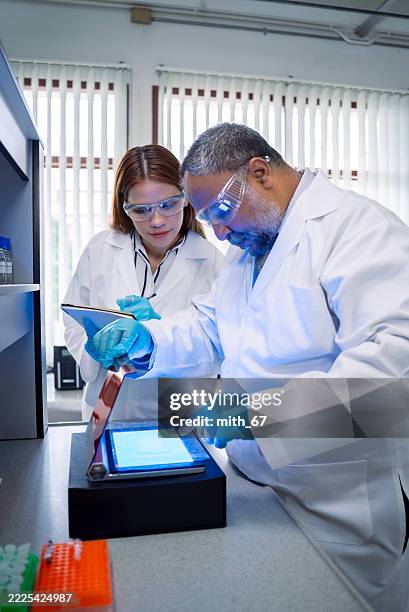 diverse lab technicians reviewing gel electrophoresis results in bioscience lab - genomics stock pictures, royalty-free photos & images