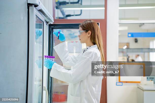 primer plano de un técnico de laboratorio cargando microcentrífugas para la preparación de muestras en el laboratorio de biociencias - biochip equipo de laboratorio fotografías e imágenes de stock