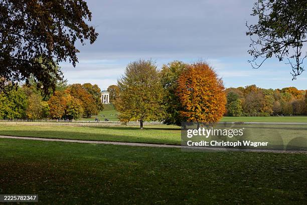 münchen, englischer garten, monopterus, bayern - englischer garten stock-fotos und bilder