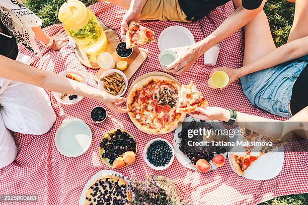 friends enjoying a vibrant picnic, sharing pizza and fruit on a red checkered blanket on a sunny summer day. - picnic foto e immagini stock
