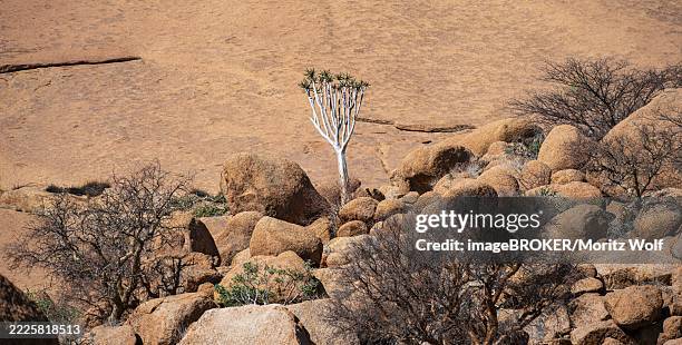 Pontok 179 Spitzkoppe Nature Reserve Stock Photos, High-Res Pictures, and ...