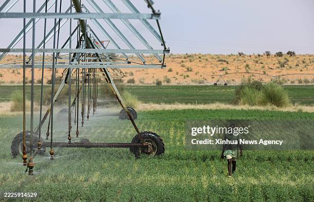 Herder checks the operation of a center-pivot irrigation system in an alfalfa field at the Livestock Demonstration Center in Idini village,...