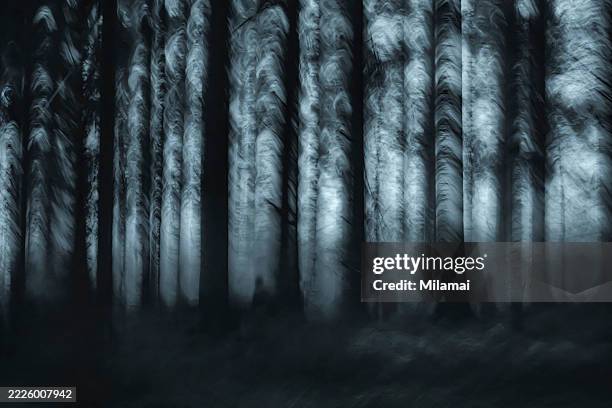 abstract birch forest, strange figures and shapes, ghostly mood, creative photography - heks stockfoto's en -beelden