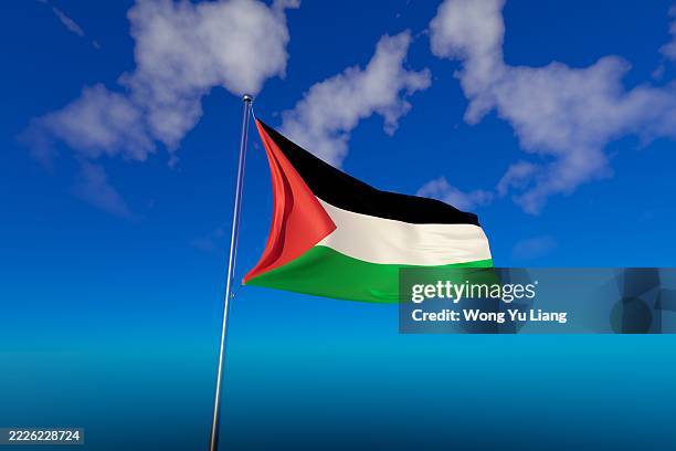 palestine flag with blue sky background - palestinian flag stock pictures, royalty-free photos & images