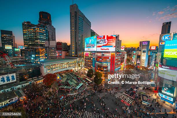 shibuya pedestrian crossing and city lights, tokyo, japan - prefettura di tokyo foto e immagini stock
