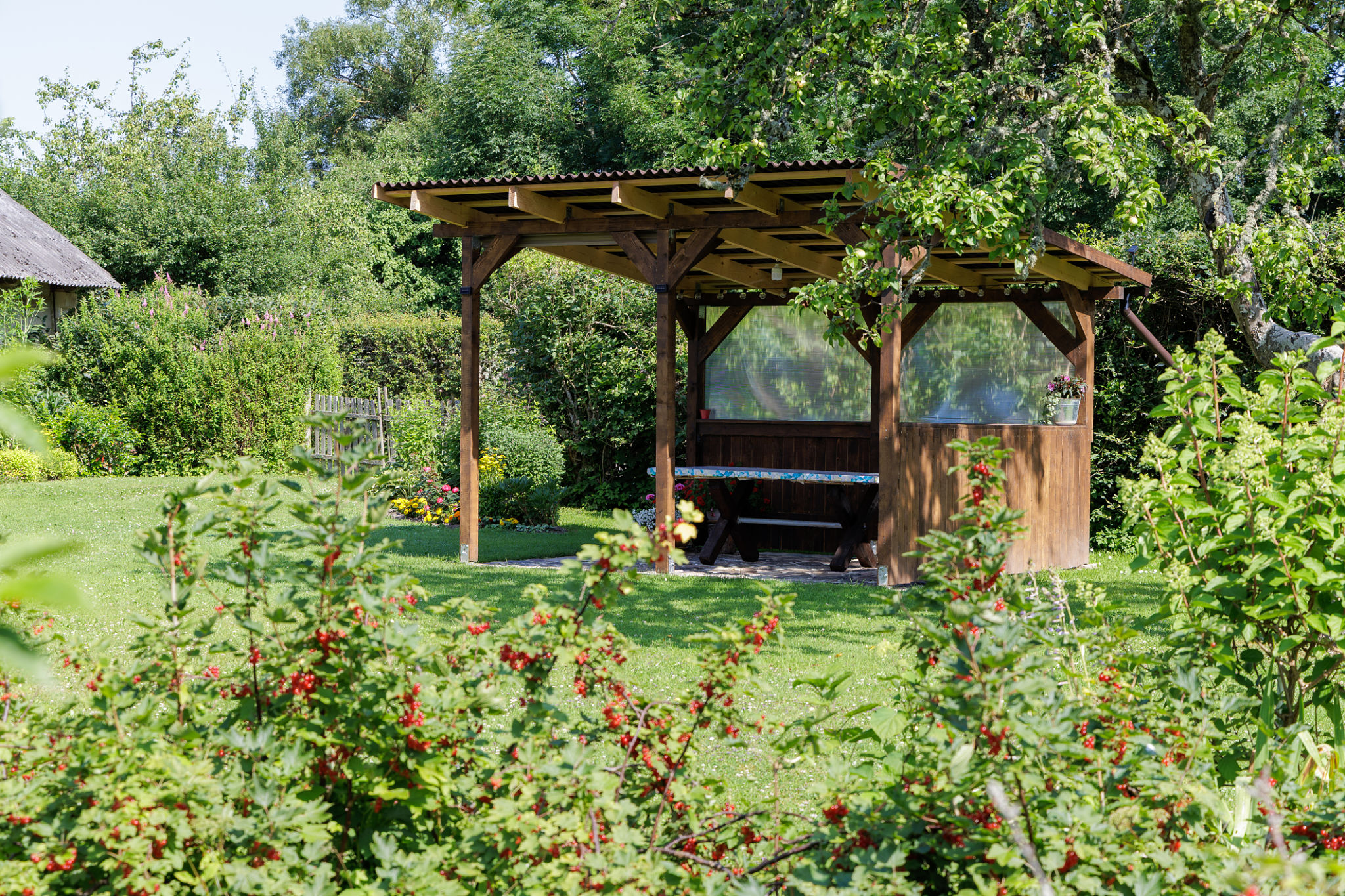 pergola with plants