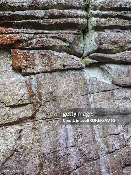 detail of a weathered granite rock, großer haberstein, fichtelgebirge, upper franconia, bavaria, germany - fichtelgebirge stock-fotos und bilder