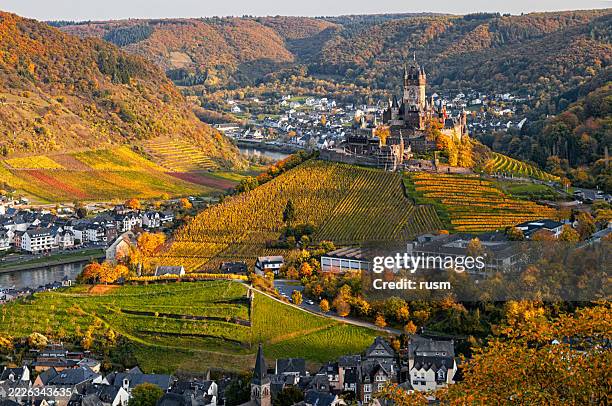aerial of cochem castle and vineyards in mosel wine valley at autumn, germany - mosel valley stock pictures, royalty-free photos & images
