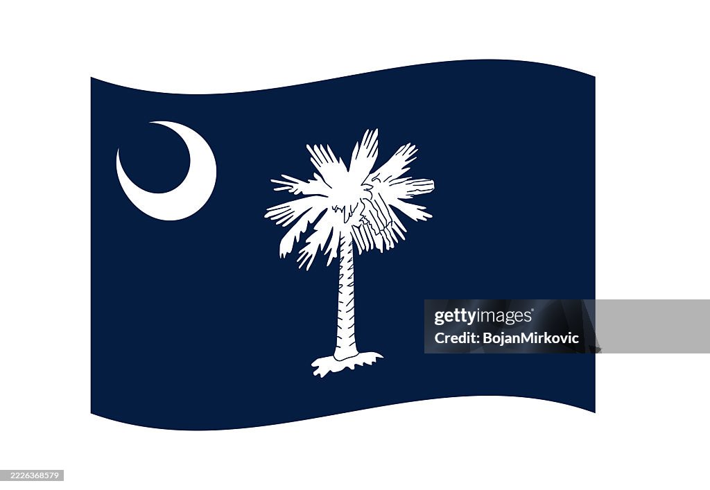 South Carolina waving flag. Vector
