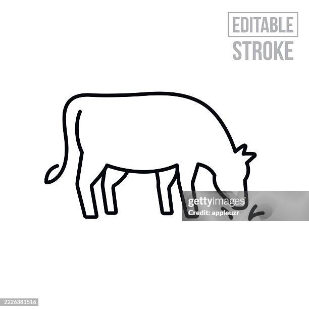 bildbanksillustrationer, clip art samt tecknat material och ikoner med beef cow thin line icon - editable stroke - ko