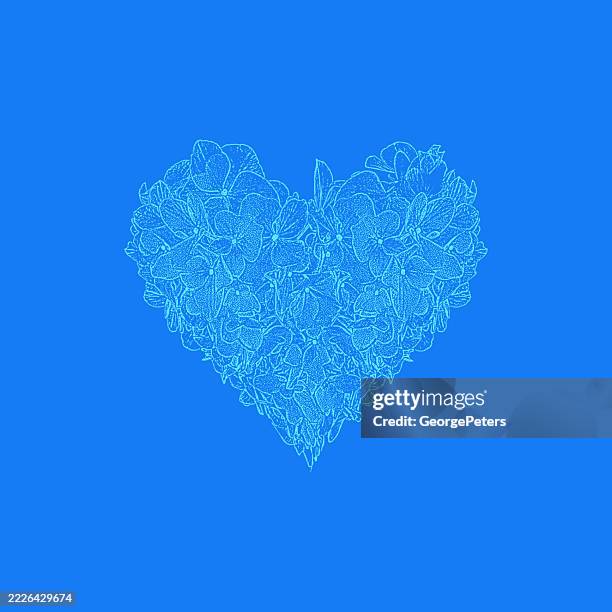 flower blossoms in heart shape - blue hydrangea stock illustrations