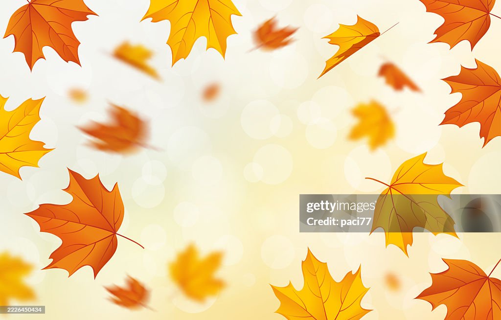 Falling Leaf Example Autumn Leaf Background With Falling Leaves High-Res Vector Graphic ...