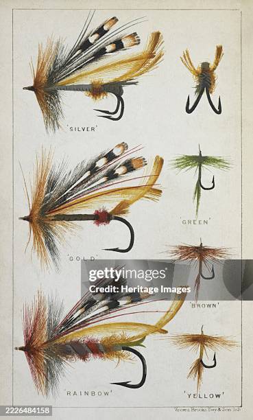 Fishing flies and hooks, 1875. 'Silver, Gold, Green, Brown, Rainbow' and 'Yellow' fishing flies. From "The Modern Practical Angler: A Complete Guide...