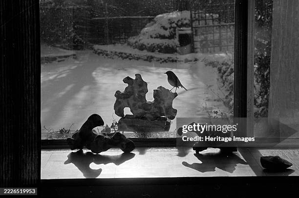 View through the kitchen window towards a robin perched on sculptural bird table in the garden of the photographer John Gay, at 30 Cholmeley...