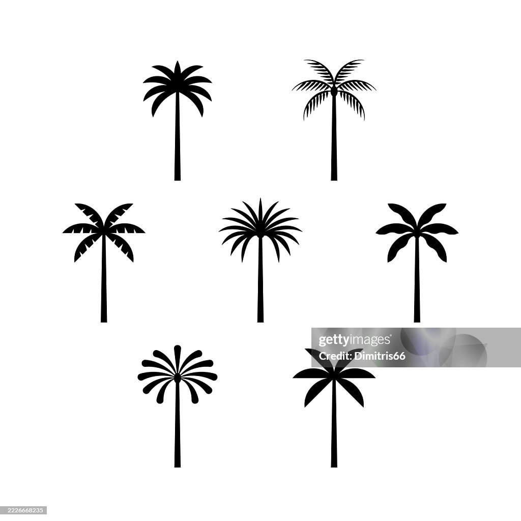 Palm tree icon set