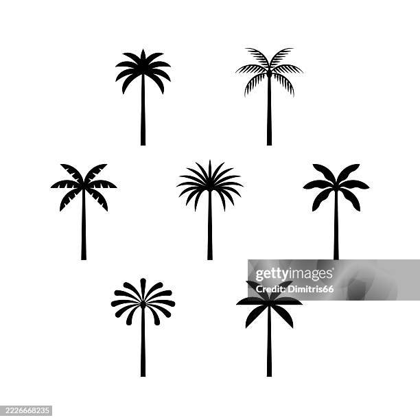 palm tree icon set - coconut palm tree stock illustrations