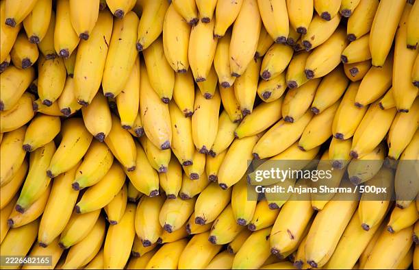 close-up of bananas,rawat bhata,rajasthan,india - banana stock pictures, royalty-free photos & images