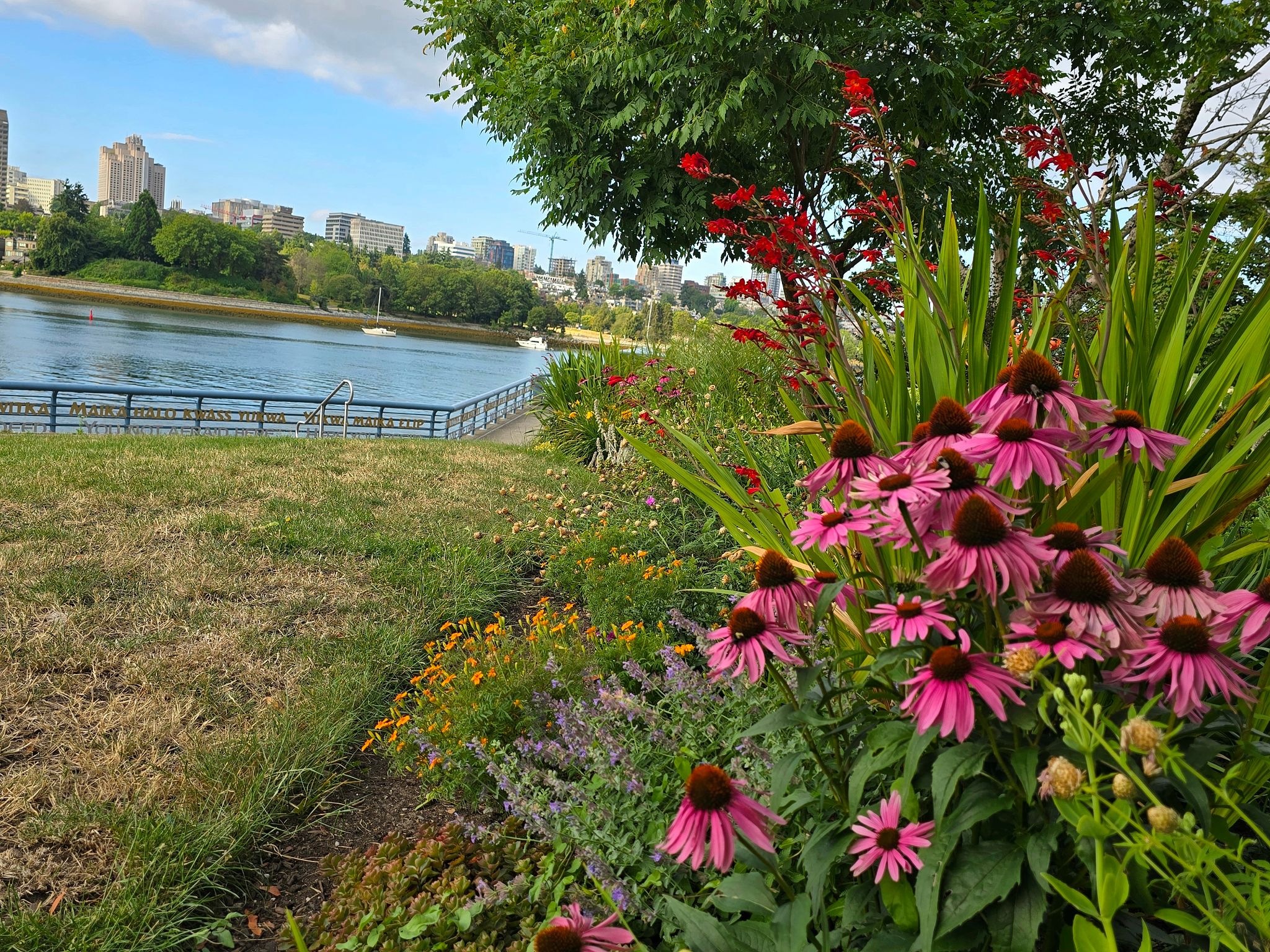 eco-friendly landscaping