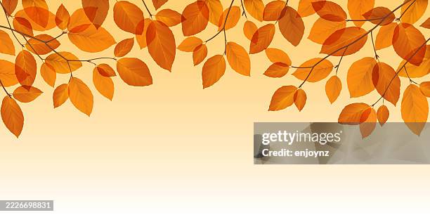 autumn leaves vector header - fall background stock illustrations