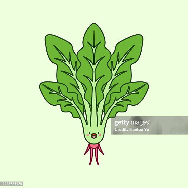 #087_cartoon spinach_cute vector illustrations of plants_yetianlun - spinach isolated stock illustrations