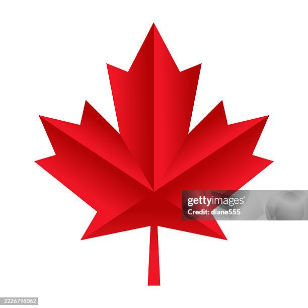 red canada maple leaf - maple leaf stock illustrations