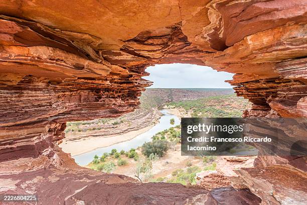 nature's window frames the murchison river in kalbarri national park, western australia. - elevated walkway stock pictures, royalty-free photos & images