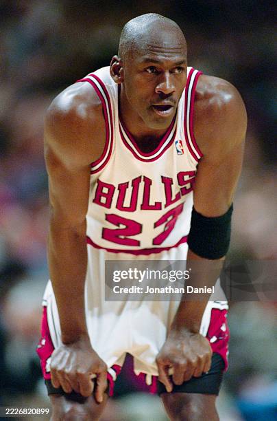 Portrait of Michael Jordan, Shooting Guard and Small Forward for the Chicago Bulls looking on during the NBA Central Division basketball game against...