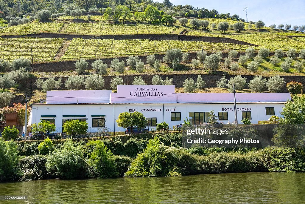 Quinta das Carvalhas, Royal Oporto Real Companhia Velha, near Pinho, river Douro valley, Alto Douro, Portugal, Europe