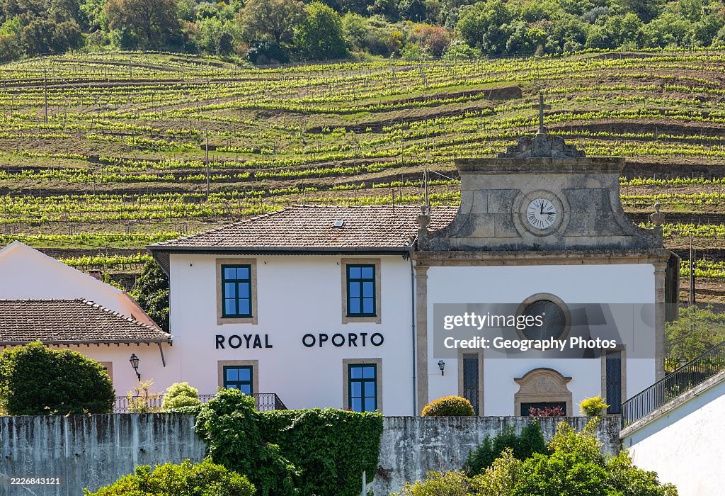 Quinta das Carvalhas, Royal Oporto Real Companhia Velha, near Pinho, Douro valley, Alto Douro, Portugal, Europe