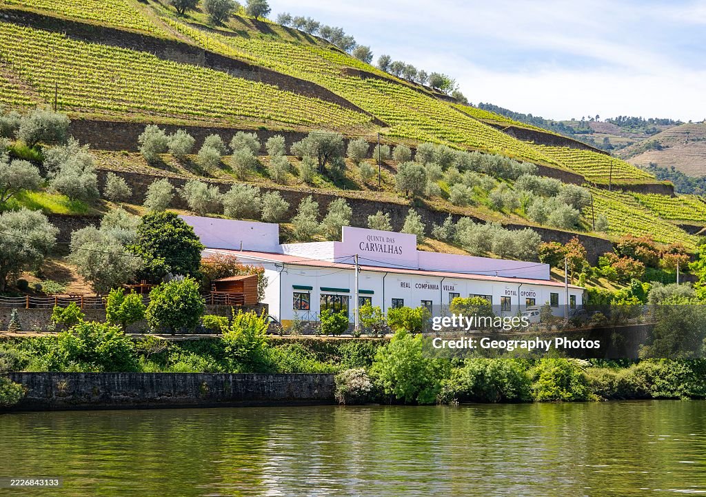 Quinta das Carvalhas, Royal Oporto Real Companhia Velha, near Pinhã Douro valley, Alto Douro, Portugal, Europe