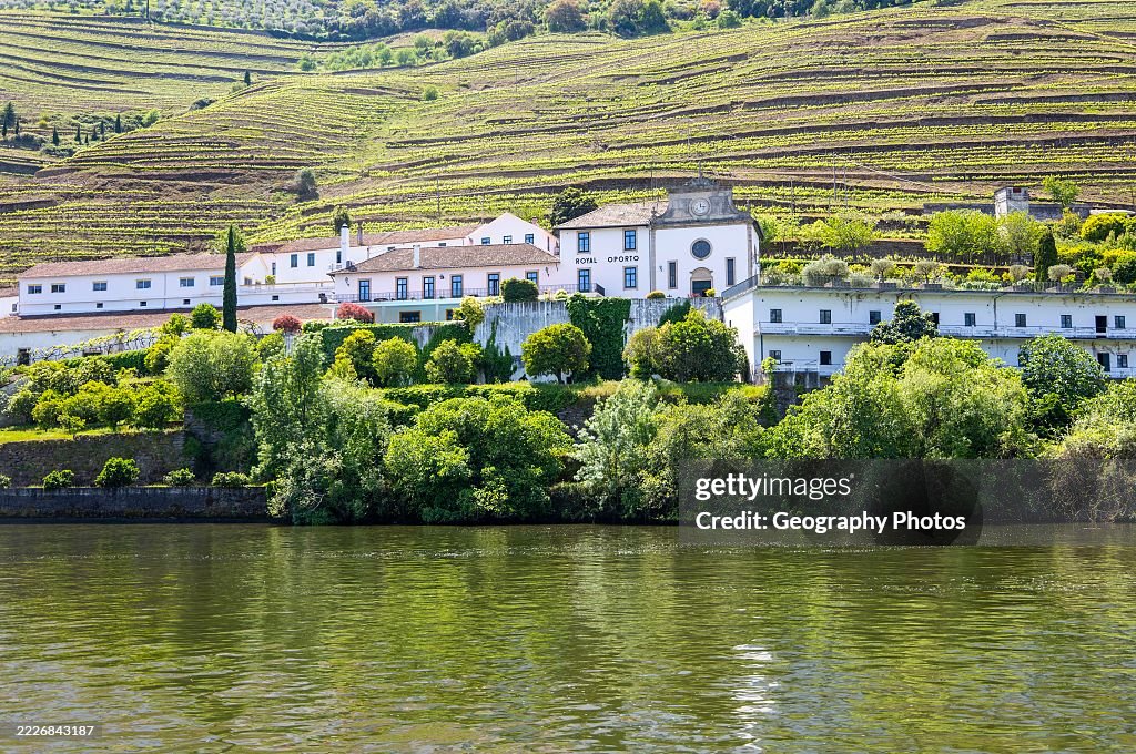 Quinta das Carvalhas, Royal Oporto Real Companhia Velha, near Pinhã Douro valley, Alto Douro, Portugal, Europe