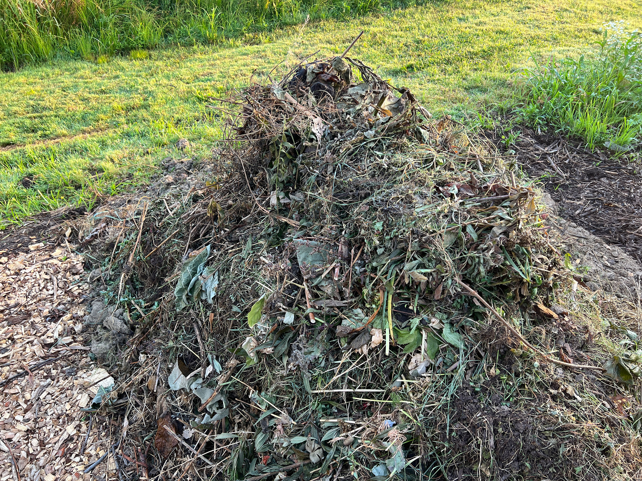 compost pile
