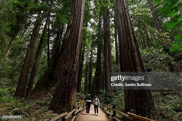 Visitors walk through Muir Woods National Monument on July 24, 2025 in Muir Woods National Monument, California. Under a directive from Interior...