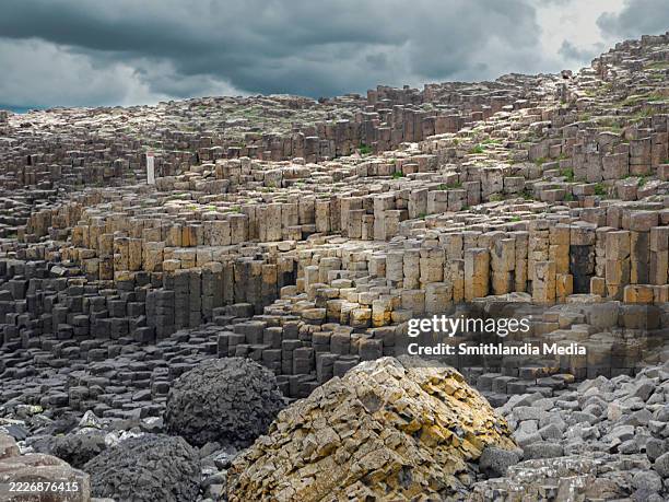 giant's causeway basalt column walkway - giants causeway stock-fotos und bilder
