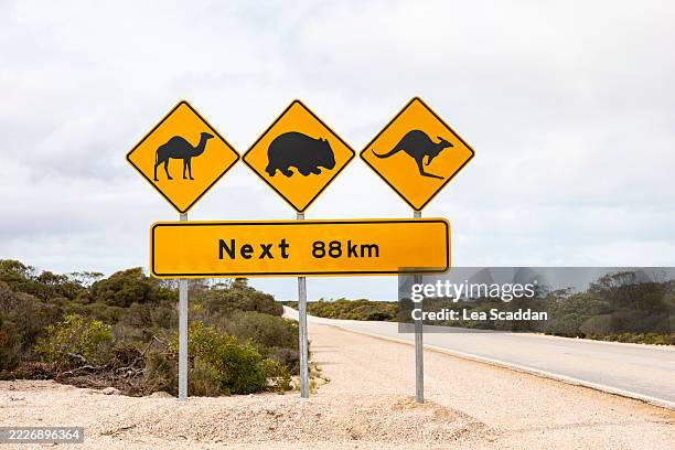 Nullarbor Signposts 105 Nullarbor Plains Stock Photos, High-Res Pictures, and Images ...