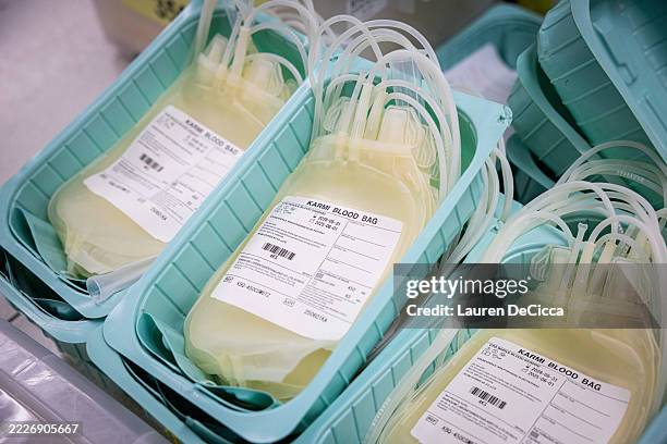 Nurses prepare bags for blood donations at the Thai Red Cross on July 25, 2025 in Bangkok, Thailand. Thousands of Thais flocked to donate blood amid...