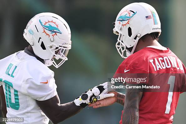 Miami Dolphins Training Camp Miami Dolphins Training Camp