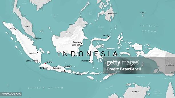 indonesia - zoom on world map. animated shape vector map of the indonesia. 4k video footage. motion graphics - denpasar stock illustrations
